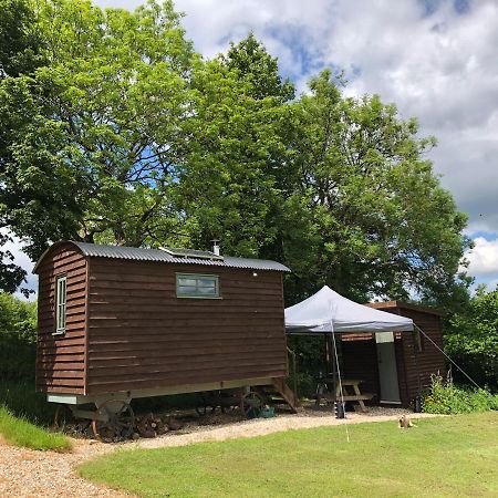 The Shepherds Hut At The Shippen, Tiphayes Honiton Exteriér fotografie
