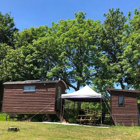 The Shepherds Hut At The Shippen, Tiphayes Honiton Exteriér fotografie