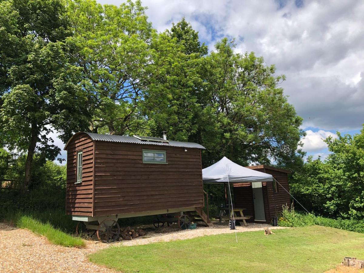 The Shepherds Hut At The Shippen, Tiphayes Honiton Exteriér fotografie